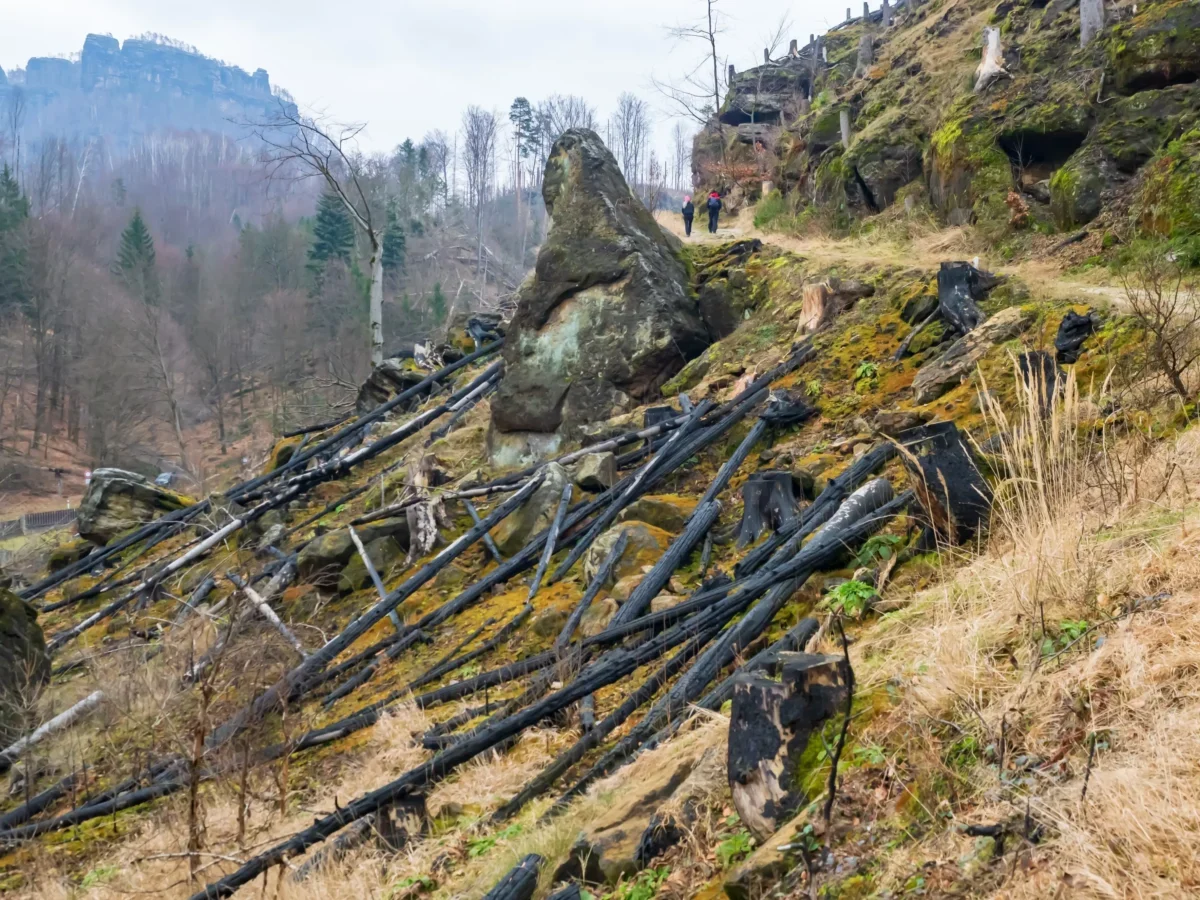 Hikers in red jackets walk along a rocky hillside strewn with black pipes; leafless trees and cliffs in the background.