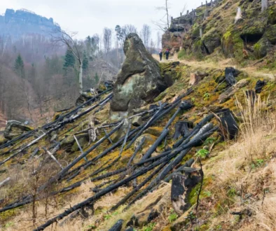 Hikers in red jackets walk along a rocky hillside strewn with black pipes; leafless trees and cliffs in the background.