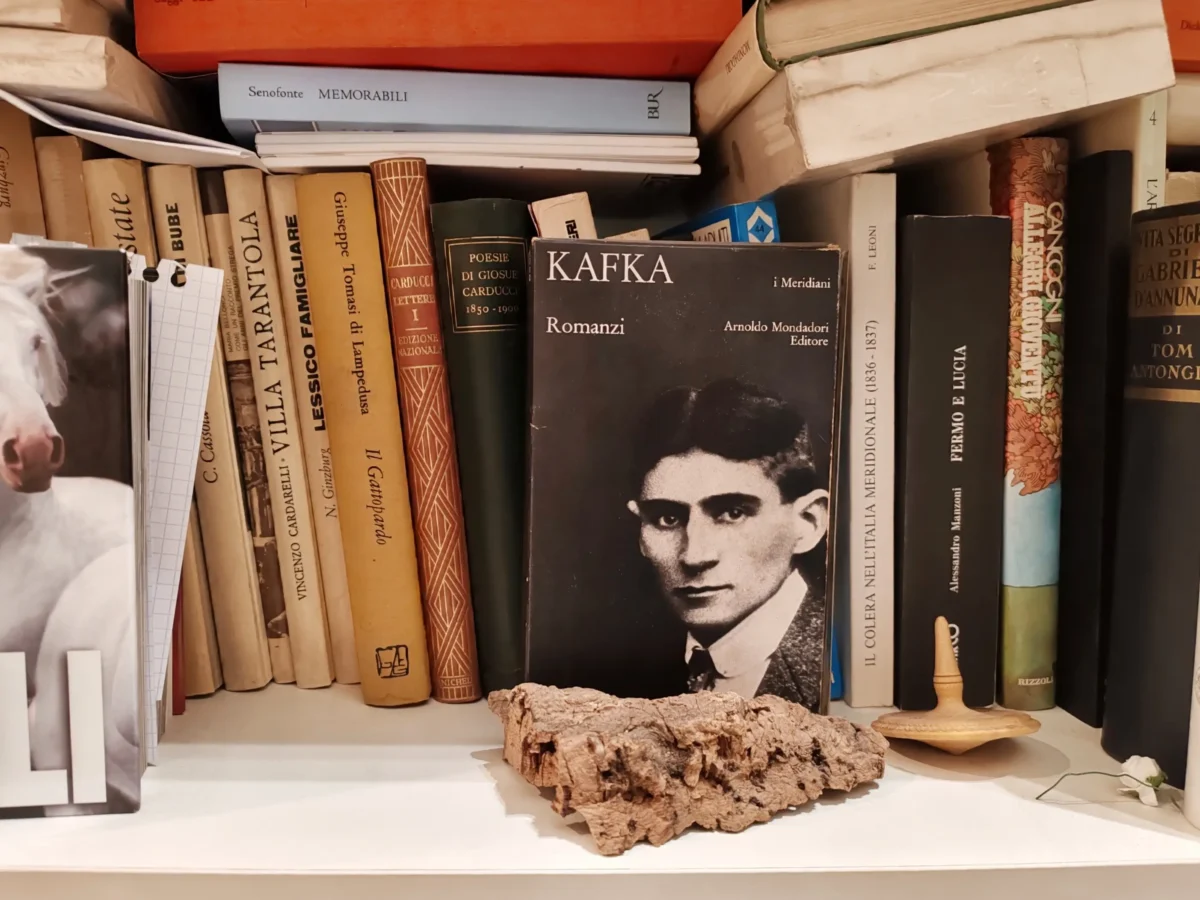 Kniha o Kafkovi je opřená o další knihy.