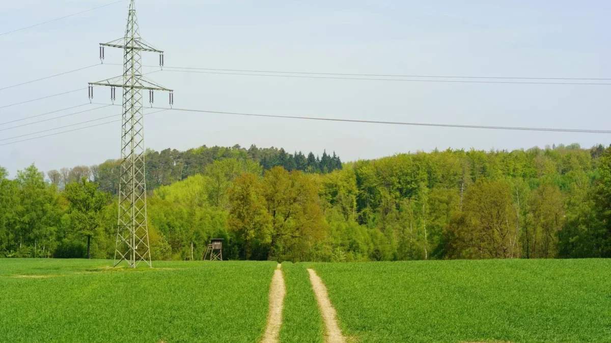 Metal electricity pylon standing in a green field with a dirt track leading toward a tree line in the distance.