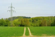 Metal electricity pylon standing in a green field with a dirt track leading toward a tree line in the distance.