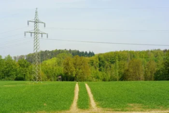 Metal electricity pylon standing in a green field with a dirt track leading toward a tree line in the distance.