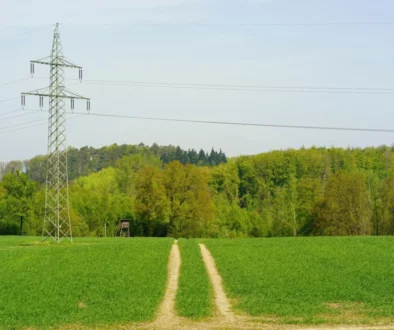 Metal electricity pylon standing in a green field with a dirt track leading toward a tree line in the distance.