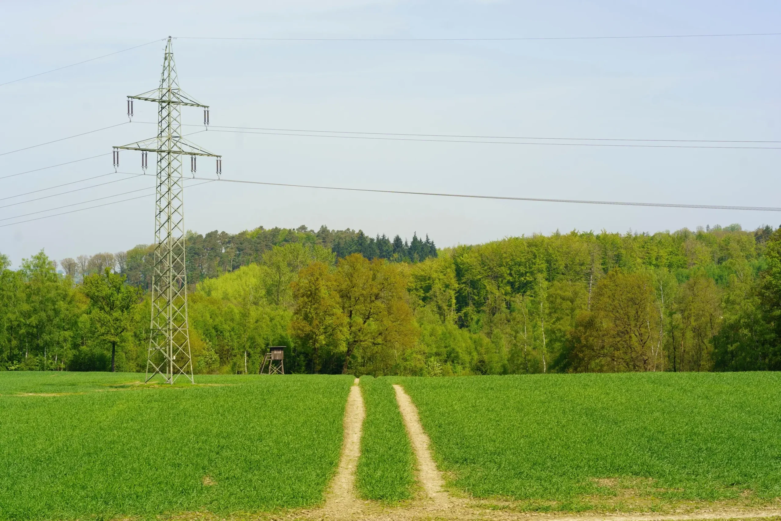 Metal electricity pylon standing in a green field with a dirt track leading toward a tree line in the distance.