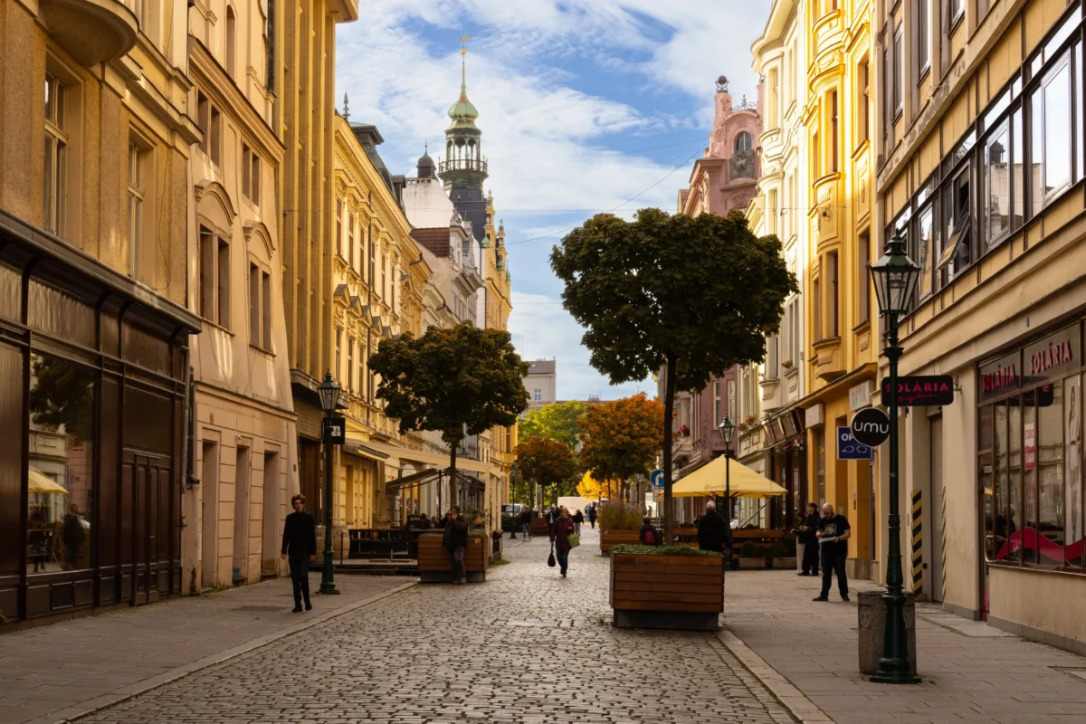 Ulice v Plzni