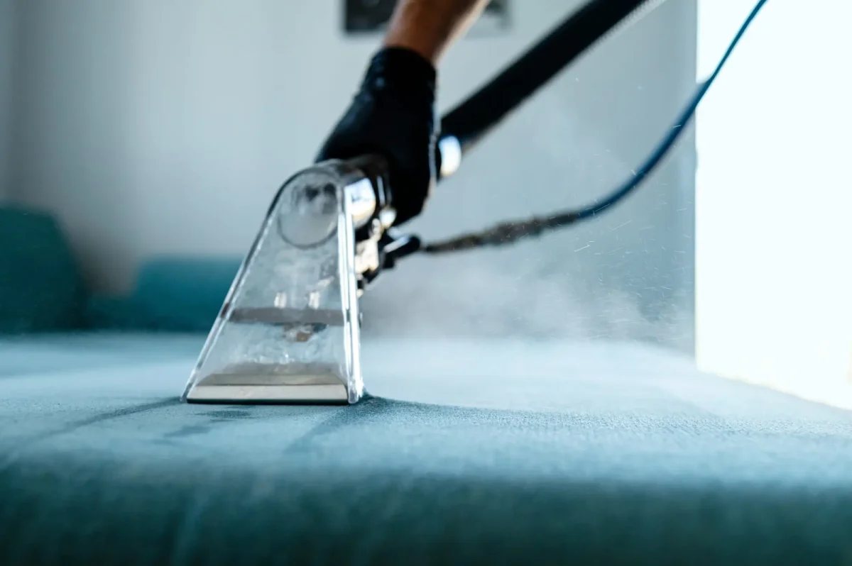 Pára je účinným pomocníkem v boji proti nečistotám. Zdroj: Shutterstock