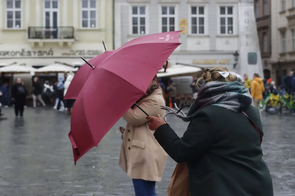 Shutterstock_2566376191 | TVGURU.cz deštivé Česko