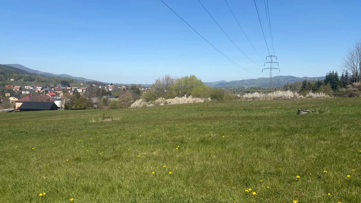 Green field with scattered yellow flowers, distant houses, and high-voltage lines stretching toward a steel pylon on the right under a clear blue sky.