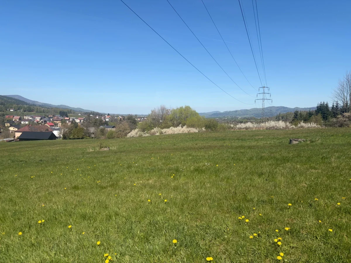 Green field with scattered yellow flowers, distant houses, and high-voltage lines stretching toward a steel pylon on the right under a clear blue sky.