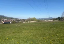 Green field with scattered yellow flowers, distant houses, and high-voltage lines stretching toward a steel pylon on the right under a clear blue sky.