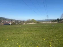 Green field with scattered yellow flowers, distant houses, and high-voltage lines stretching toward a steel pylon on the right under a clear blue sky.