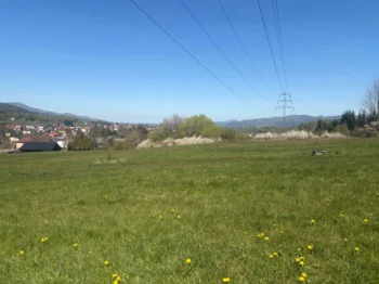 Green field with scattered yellow flowers, distant houses, and high-voltage lines stretching toward a steel pylon on the right under a clear blue sky.