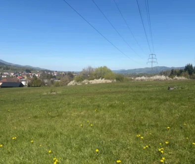 Green field with scattered yellow flowers, distant houses, and high-voltage lines stretching toward a steel pylon on the right under a clear blue sky.