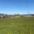 Green field with scattered yellow flowers, distant houses, and high-voltage lines stretching toward a steel pylon on the right under a clear blue sky.