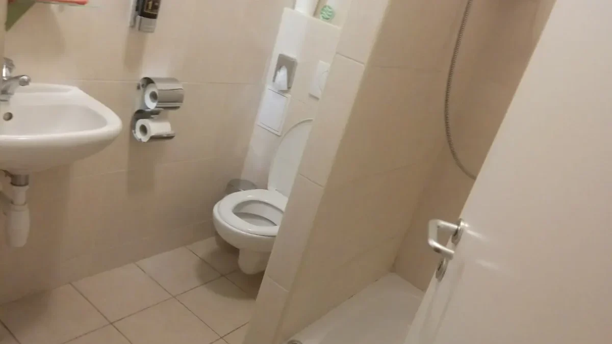 toaleta wc