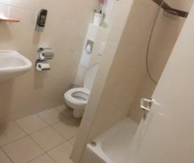 toaleta wc