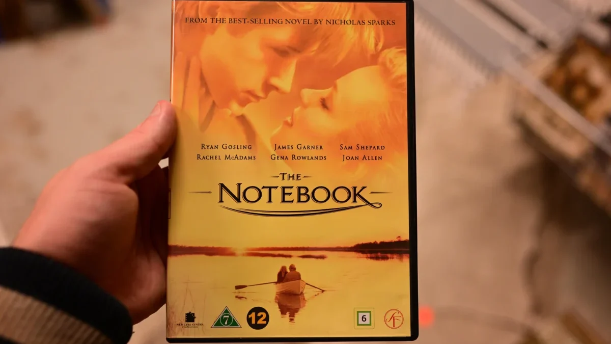 Člověk v ruce drží DVD Zápisníku jedné lásky.