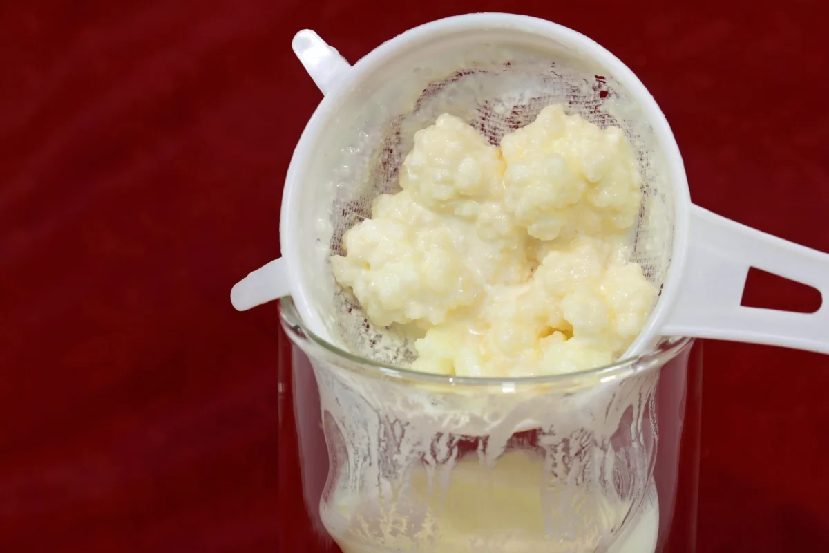 shutterstock_2547233363 1 | TVGURU.cz Mashed mixture in a white blender pitcher against a red background, ready to blend