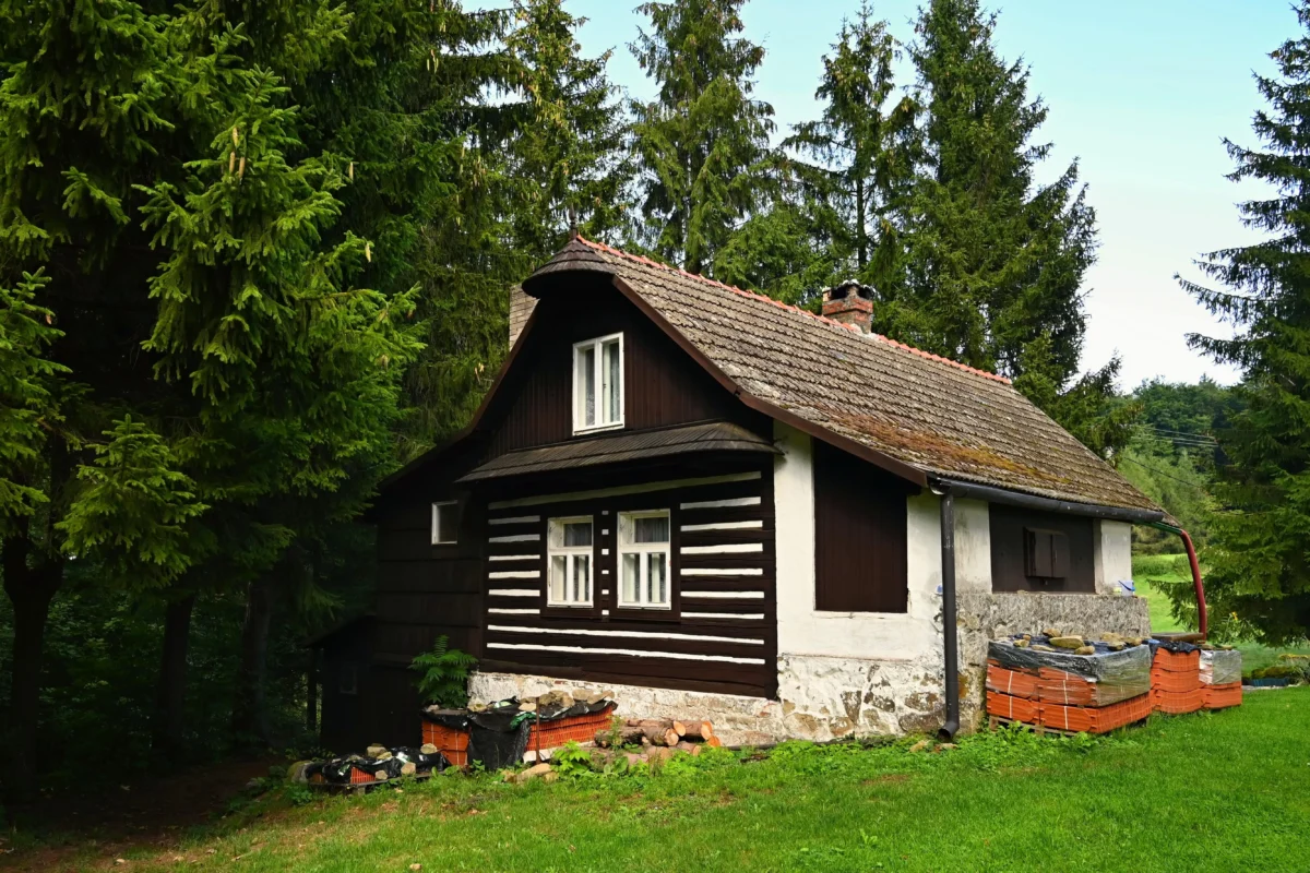 Rustic dark wooden cottage with white-framed windows and a sloped tiled roof, set among tall evergreen trees in a green yard.