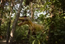 Dinosaurus v lese mezi stromy