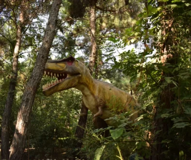 Dinosaurus v lese mezi stromy