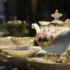 Vzácný starožitný porcelán: konvice a šálky na čaj