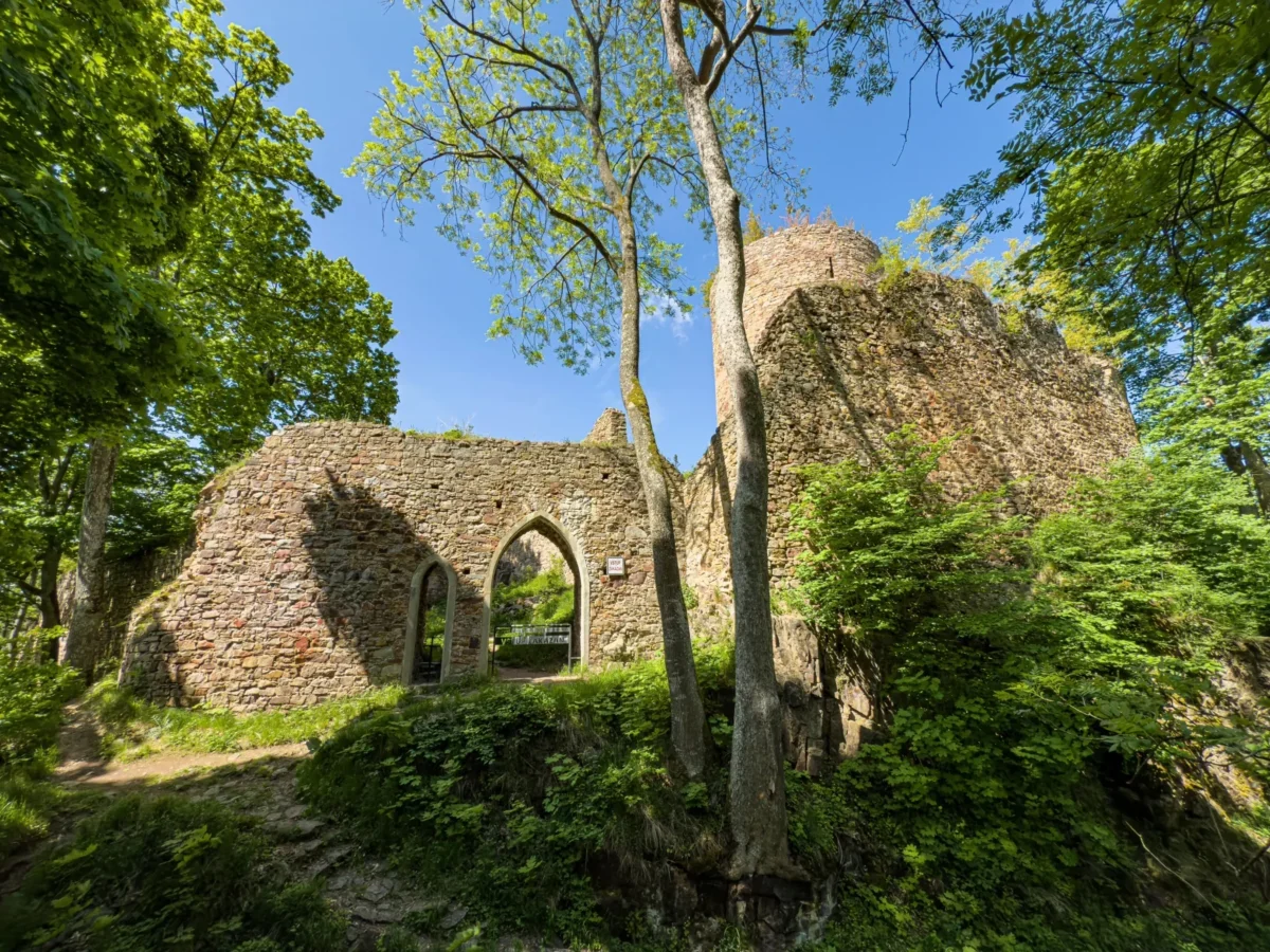 Old stone ruin with arched doorway, surrounded by dense greenery and trees under a bright blue sky