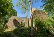 Old stone ruin with arched doorway, surrounded by dense greenery and trees under a bright blue sky