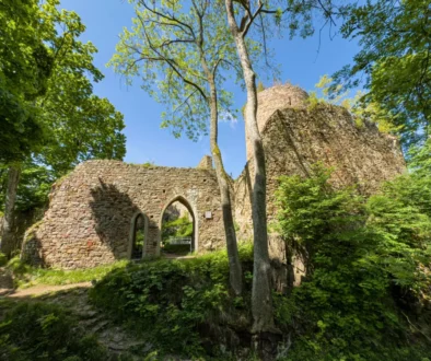 Old stone ruin with arched doorway, surrounded by dense greenery and trees under a bright blue sky