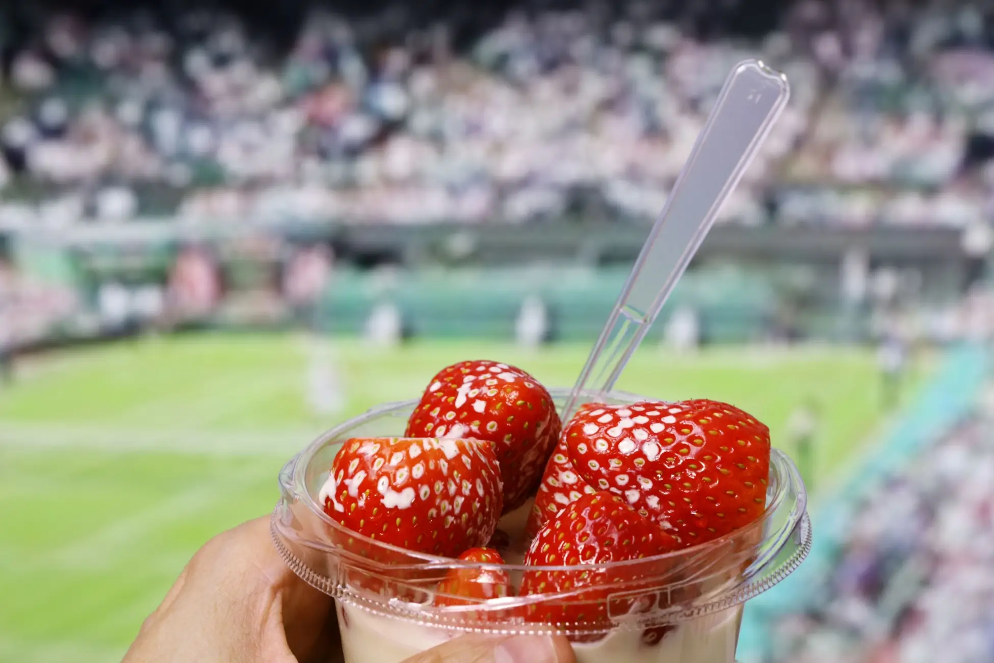 Shutterstock_2305448837 | TVGURU.cz Jahody na Wimbledonu