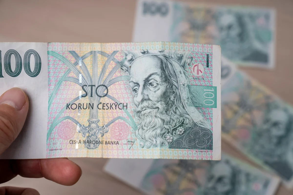 Člověk v ruce drží bankovku.
