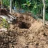 142 Hromada zeminy a hluboký příkop na dvoře, s bambusovými trubkami a stavebními materiály mezi stromy a rostlinami v pozadí.