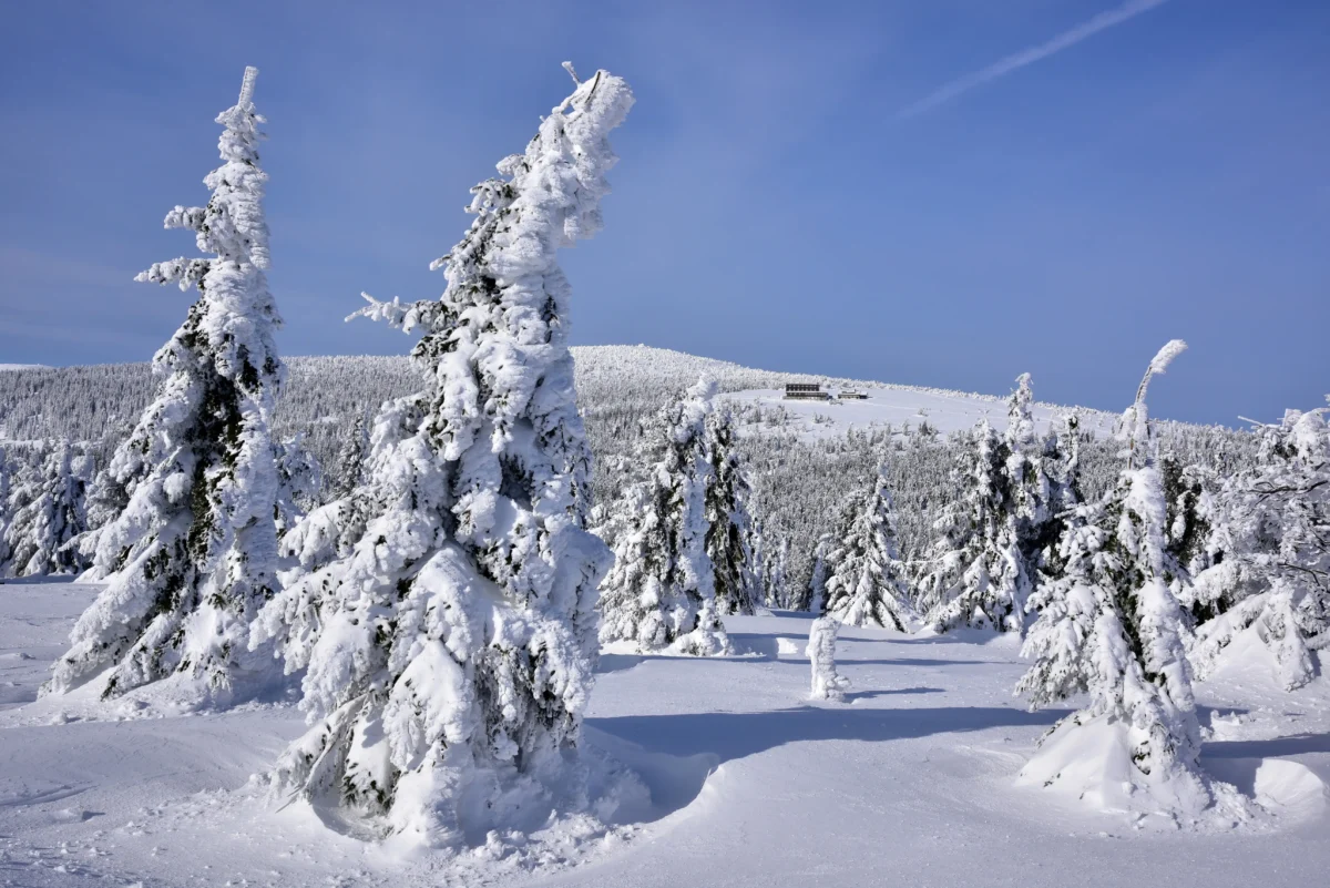 Krkonoše se sněhem