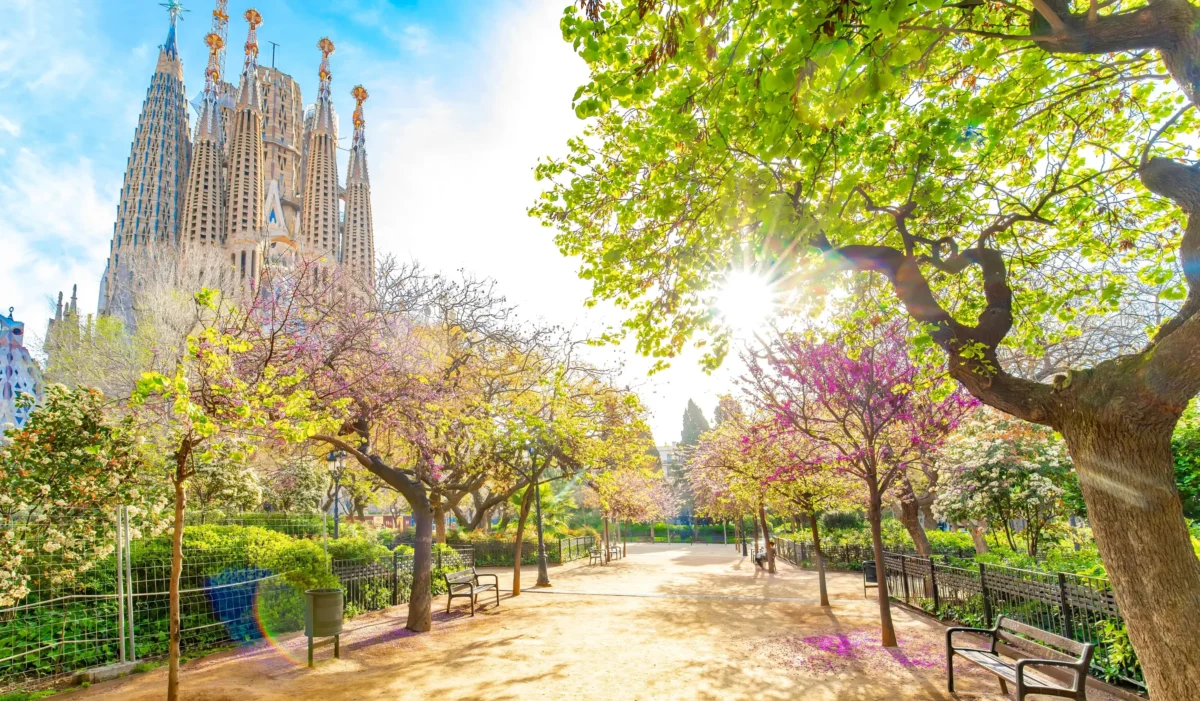 Park in Barcelona with the Sagrada Família towers visible through blooming trees on a sunny day, creating a vibrant cityscape mix of nature and architecture.