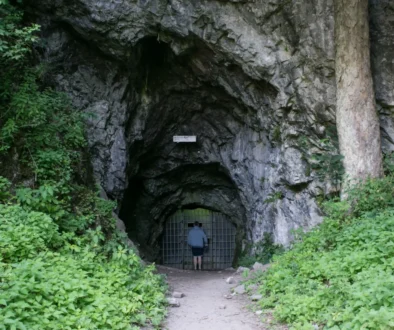vstup do býčí skály, muž vchází do uzkého vchodu tohoto skalního masivu, který je obklopen zelení