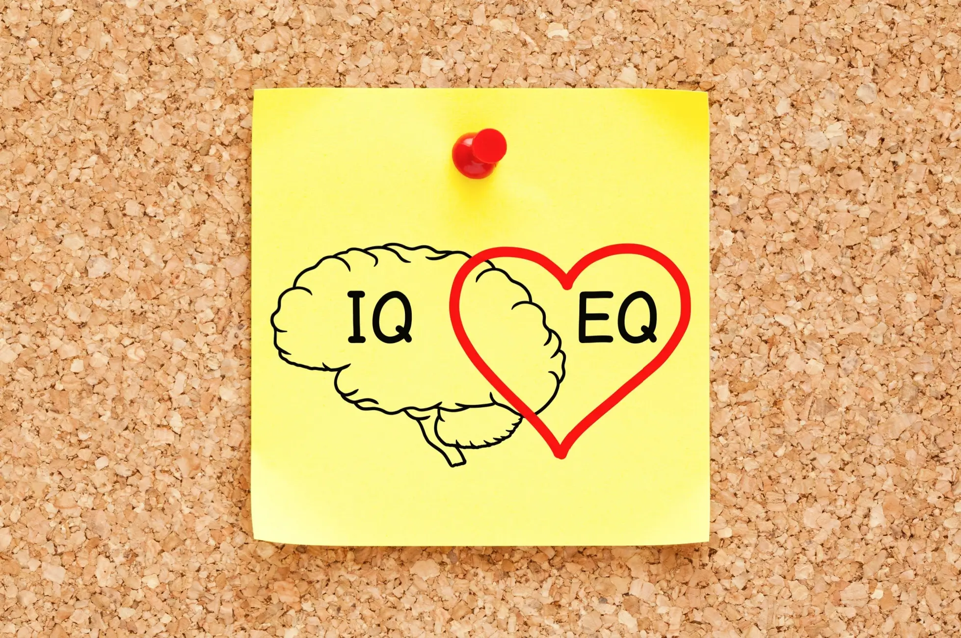 IQ vs EQ papírek