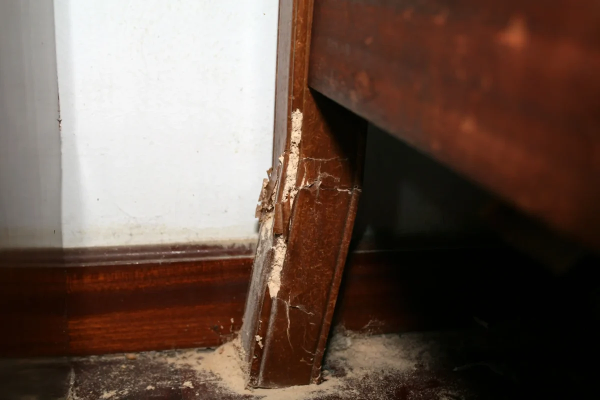 Detailní záběr na prasklou, odštípnutou dřevěnou nohu židle s prachem na podlaze poblíž bílé zdi a podlahovou lištu rozpadající se ve spoji.