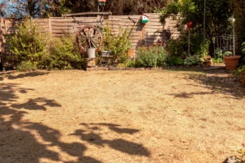 Sunny backyard garden with a weathered wooden fence, a large wagon wheel planter, and potted plants along a stone border.
