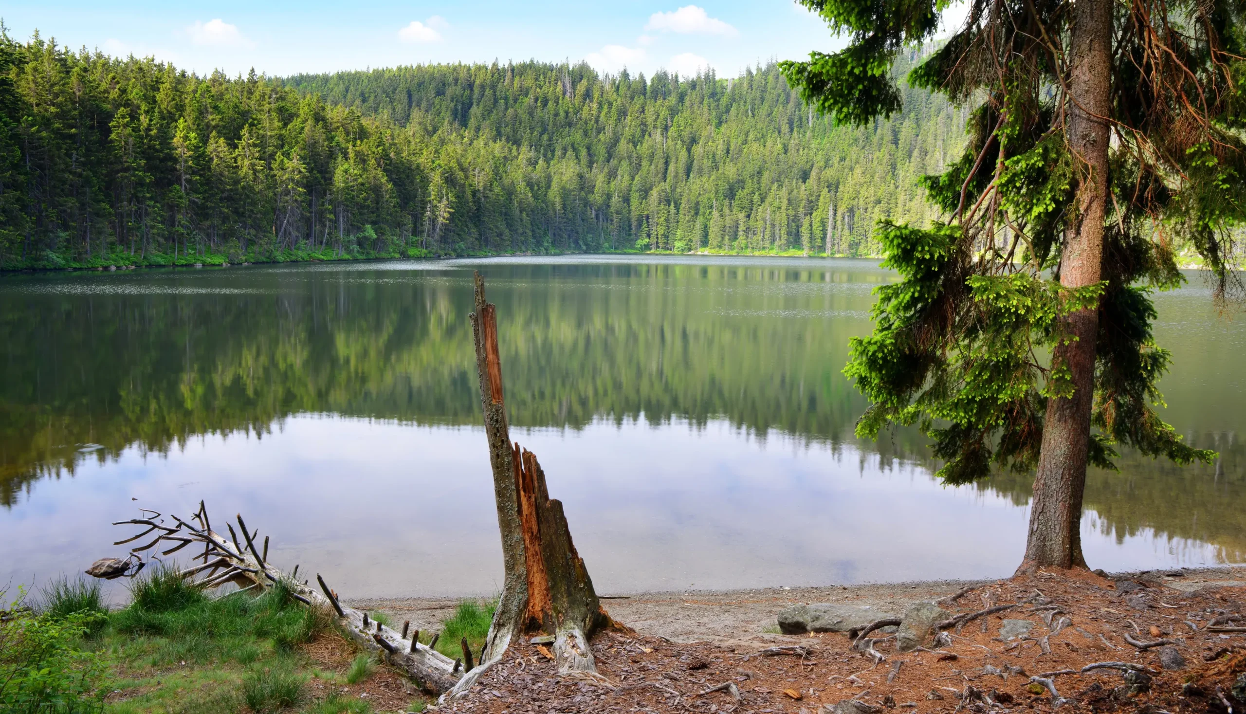 shutterstock_1862728867-2 | TVGURU.cz Výhled na jezero se stromy v pozadí