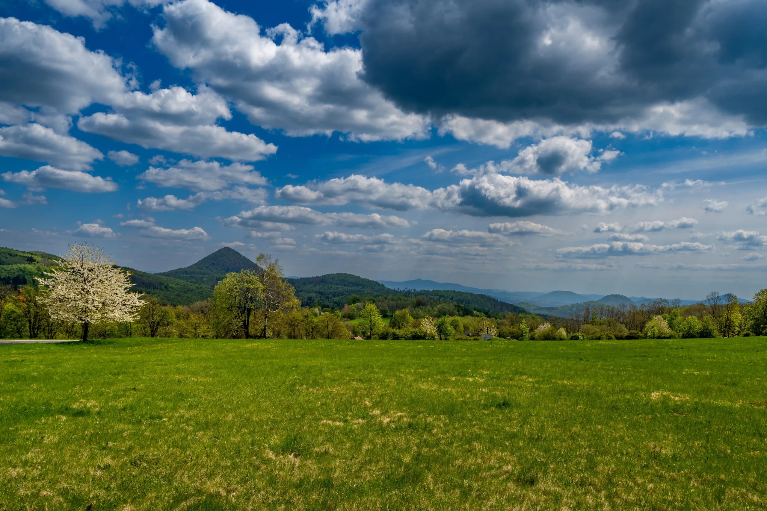 Čechy