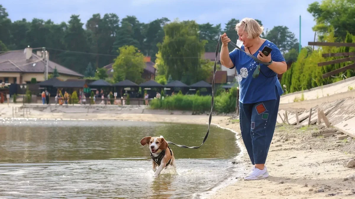Woman in a blue top stands on a sandy lakeshore, holding a leash while a dog runs into the water beside her.