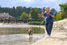 Woman in a blue top stands on a sandy lakeshore, holding a leash while a dog runs into the water beside her.
