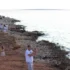 Crowded rocky shoreline with groups of people, cars parked along the coast, and the calm sea extending to the horizon.
