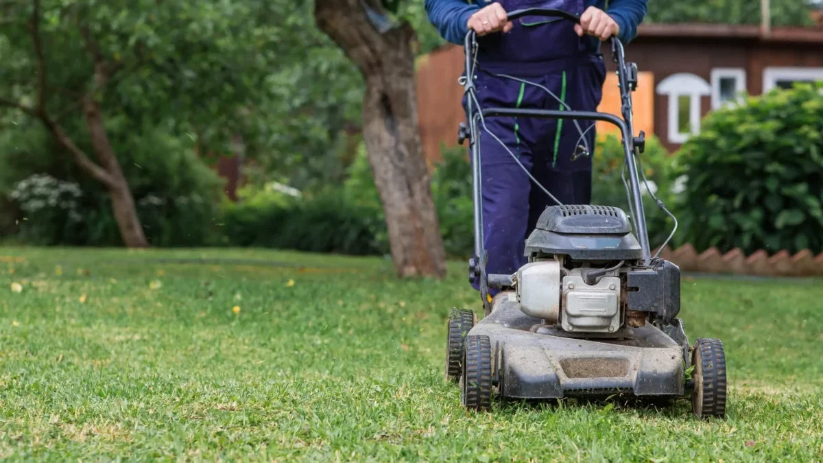 Person operating a gas-powered lawn mower on a green lawn with trees and a house in the background, in a backyard setting.