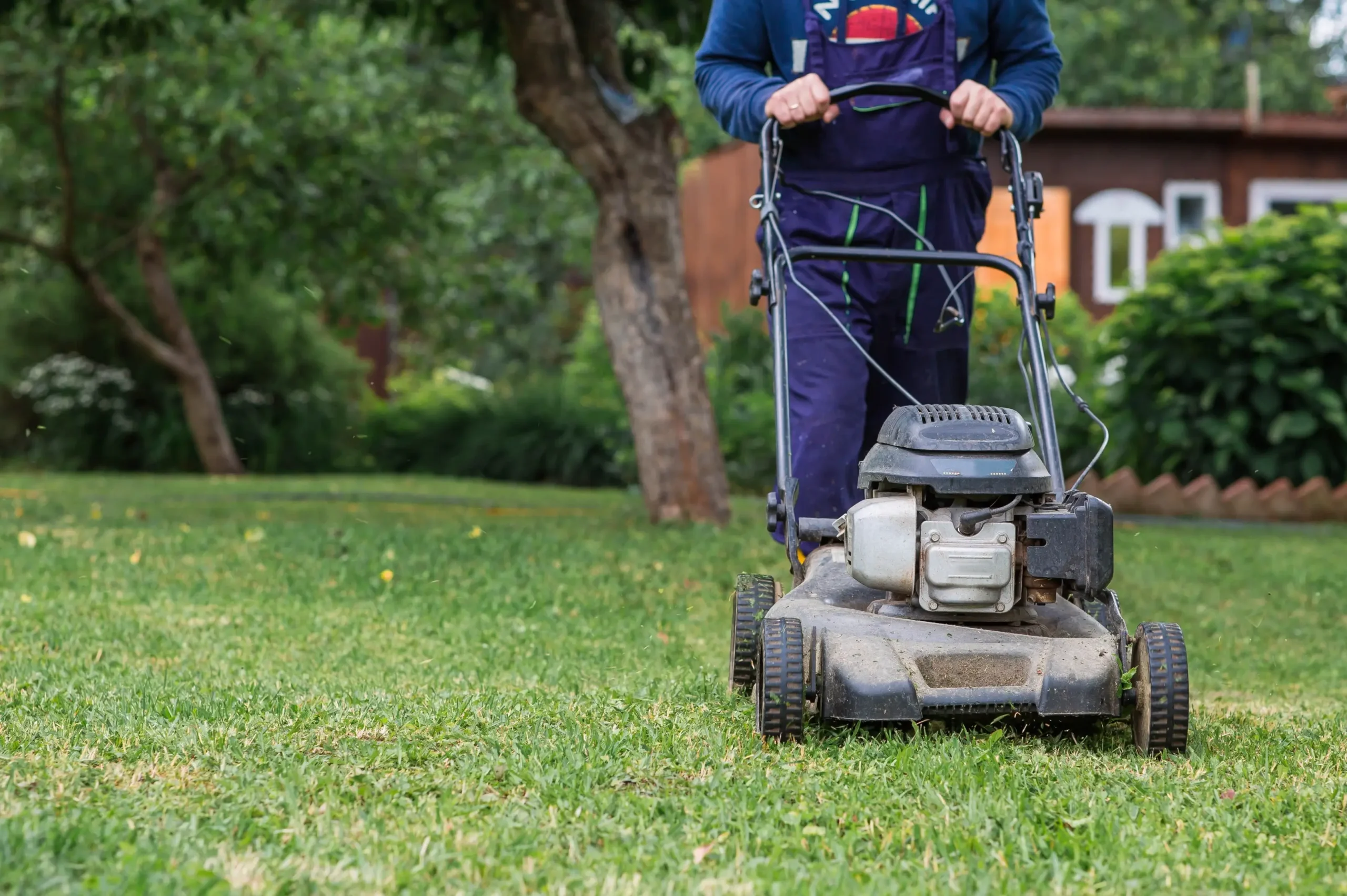 Person operating a gas-powered lawn mower on a green lawn with trees and a house in the background, in a backyard setting.