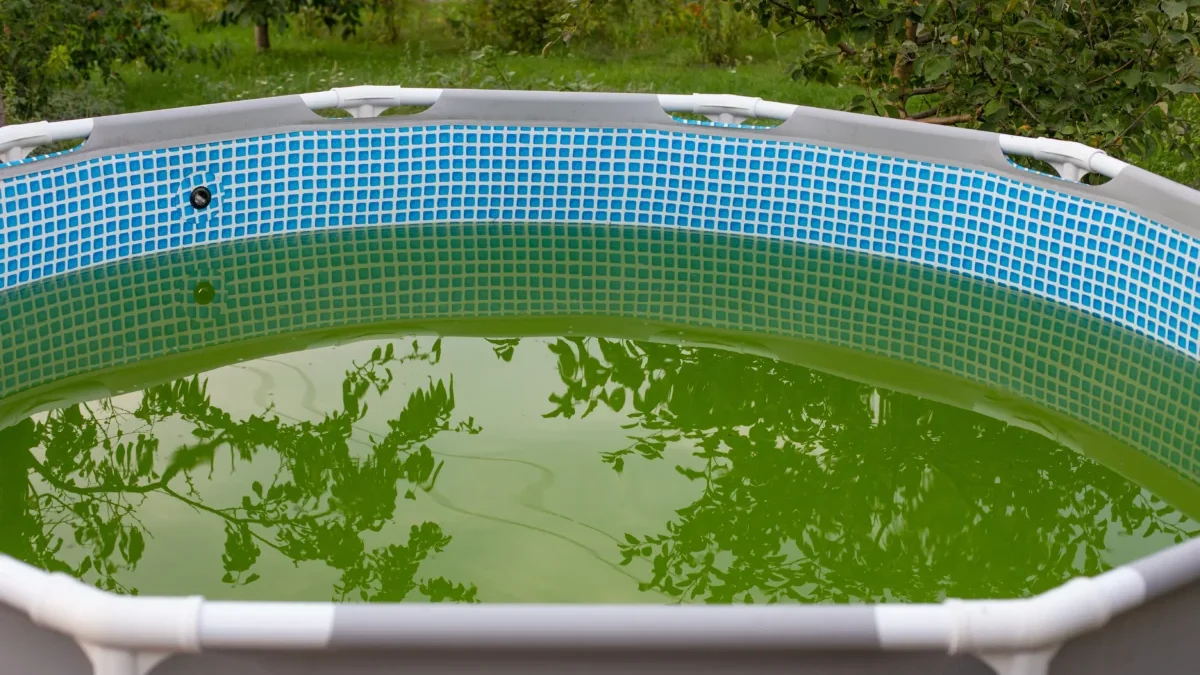 špinavá voda v bazénu