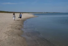 Lidé se procházejí podél moře.