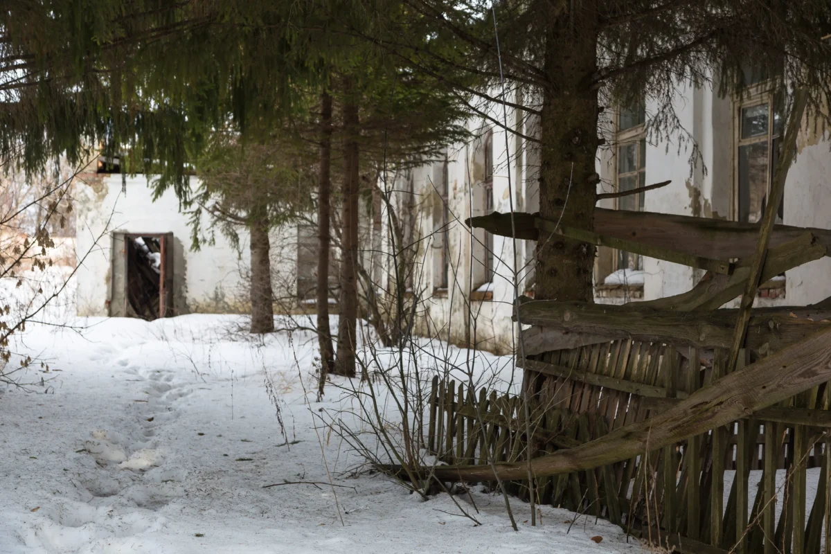 shutterstock_598790366 1 | TVGURU.cz Snow-covered yard in front of a dilapidated building, with a broken wooden fence and evergreen branches in the foreground.