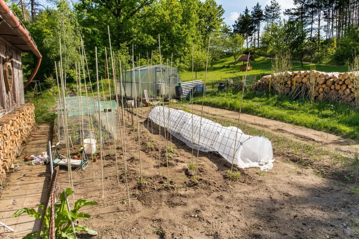 shutterstock_1733257154 1 | TVGURU.cz Backyard garden with a plastic greenhouse, raised beds under row covers, and a stack of firewood against a wooden shed.