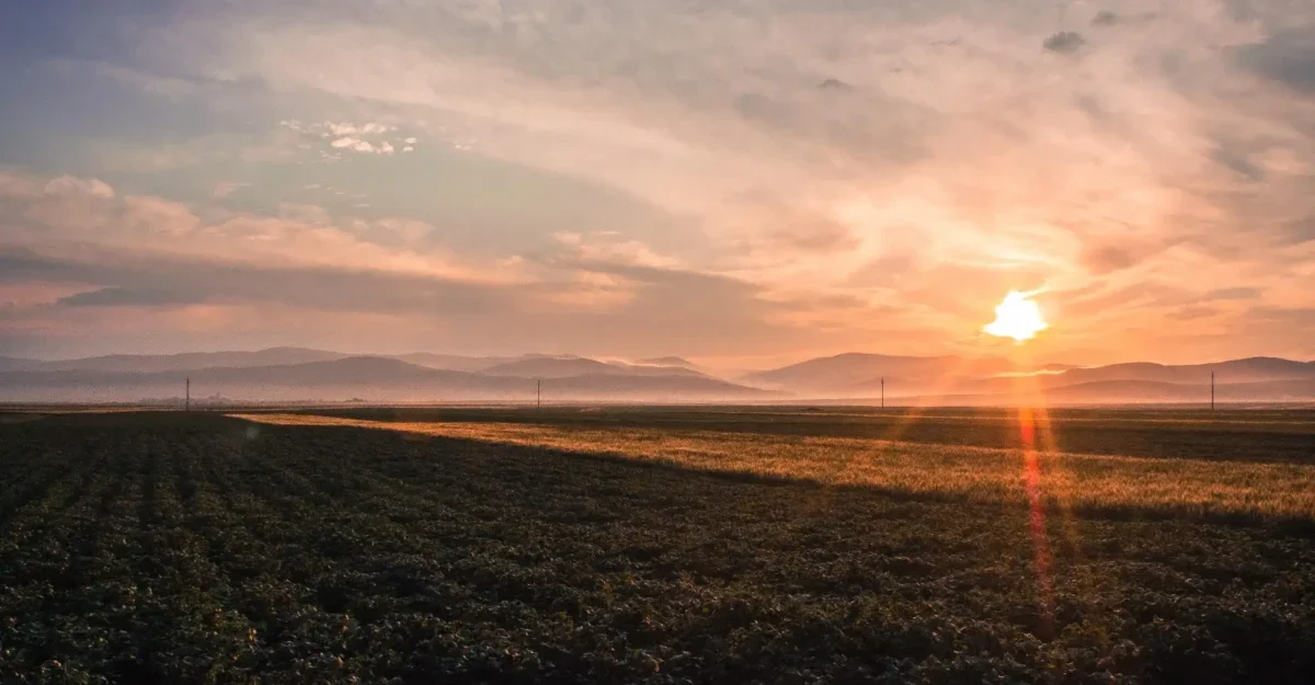 Sunset over a flat farmland with distant mountains and a warm orange glow across the sky and ground.—landscape.